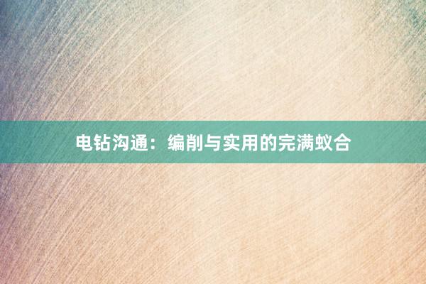 电钻沟通：编削与实用的完满蚁合